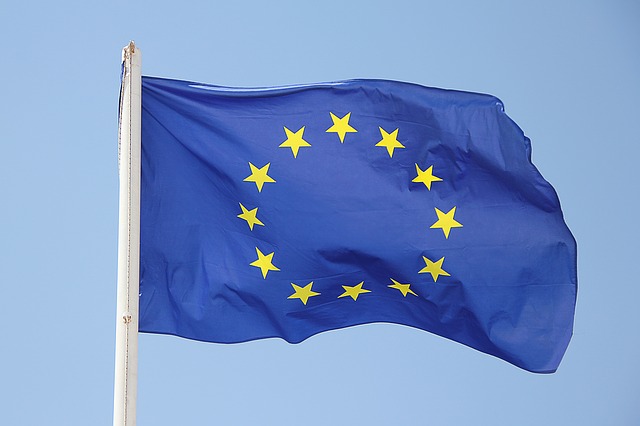 delegowanie w europie
